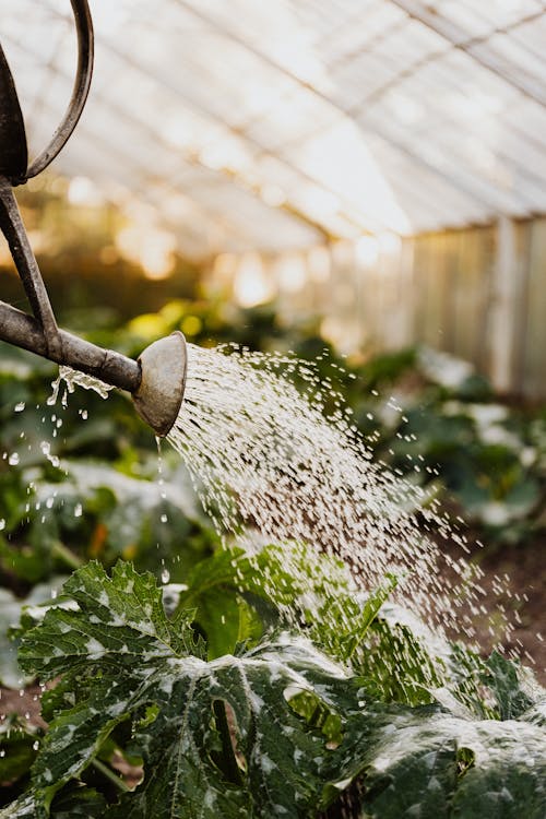 Best Drip Irrigation Kits for Grow Bags (2026 Reviews)