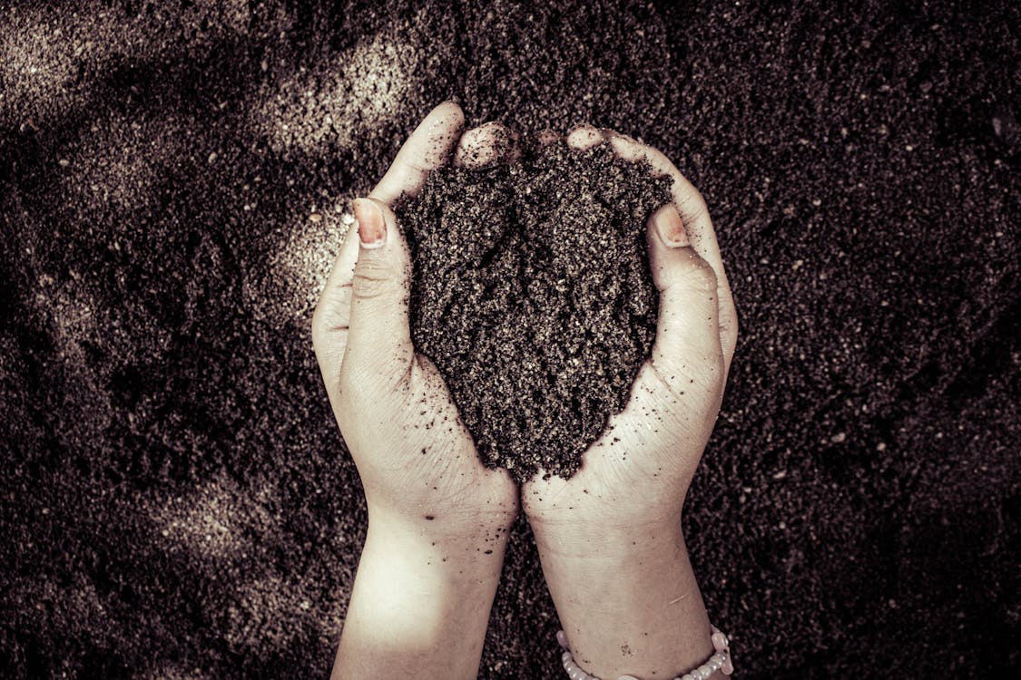 Florida Grow Bag Soil Setup Guide (Best Mixes, Raised Beds, and No-Dig)
