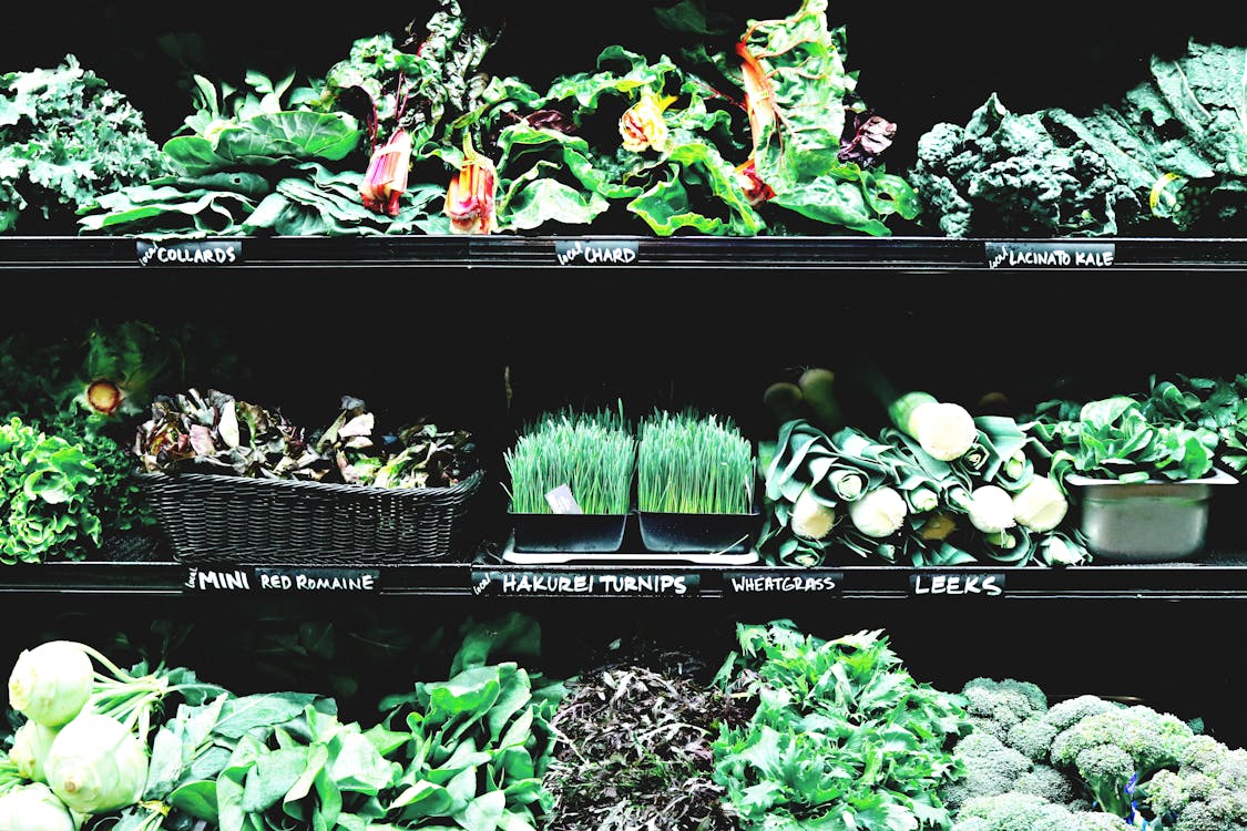 The Lazy Gardener's Seasonal Playbook